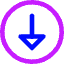 Triangle Arrow Down Circle 1 Icon from Core Neon Set