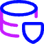 Database Shield Icon from Core Neon Set