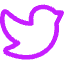 Twitter Logo Icon from Core Neon Set