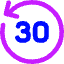 Button Go Backward 30 Icon from Core Neon Set