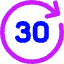 Button Go Forward 30 Icon from Core Neon Set