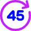 Button Go Forward 45 Icon from Core Neon Set
