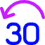 Button Jump Backward 30 Icon from Core Neon Set