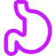 Stomach Icon from Core Neon Set