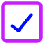 Check Square Icon from Core Neon Set