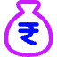 Bag Rupee Icon from Core Neon Set