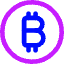 Bitcoin Circle 1 Icon from Core Neon Set