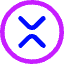 Xrp Circle Icon from Core Neon Set