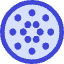 Cardano Circle Icon from Core Duo Set