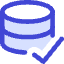 Database Check Icon from Core Duo Set