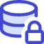 Database Lock Icon from Core Duo Set