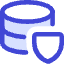 Database Shield Icon from Core Duo Set