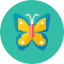 Butterfly Icon from Kameleon Colors Set