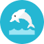 Dolphin Icon from Kameleon Colors Set