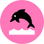 Dolphin Icon from Kameleon Pop Set