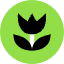 Flower Icon from Kameleon Pop Set