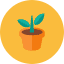 Sprout 3 Icon from Kameleon Colors Set