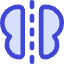 Symmetry Mirror Icon from Core Duo Set