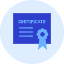 Certificate 2 Icon from Kameleon Duo Set