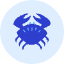 Crab Icon from Kameleon Duo - Free Set