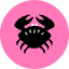 Crab Icon from Kameleon Pop - Free Set