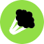 Broccoli Icon from Kameleon Pop Set