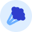 Broccoli Icon from Kameleon Duo Set