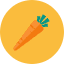 Carrot Icon from Kameleon Colors Set