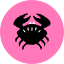 Crab Icon from Kameleon Pop Set
