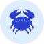 Crab Icon from Kameleon Duo Set