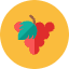 Grape Icon from Kameleon Colors Set