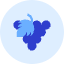 Grape Icon from Kameleon Duo Set