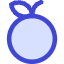 Nutrition Fruit Orange Icon from Core Duo Set
