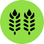 Wheat Icon from Kameleon Pop Set