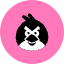 Angrybird Icon from Kameleon Pop Set