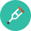 Walking Stick Icon from Kameleon Colors Set