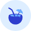 Coconut Icon from Kameleon Duo Set
