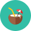 Coconut Icon from Kameleon Colors Set