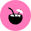Coconut Icon from Kameleon Pop Set