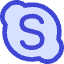 Skype Logo Icon from Core Duo Set