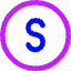 South Icon from Core Neon Set