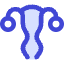 Gynecology Vagina Uterus Icon from Core Duo Set