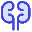 Kidney Nephrology Icon from Core Duo Set