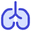 Lungs Icon from Core Duo Set