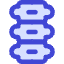 Orthopedics Spine Backbone Icon from Core Duo Set