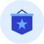 Flag Star Icon from Kameleon Duo Set