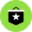 Flag Star Icon from Kameleon Pop Set