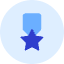 Reward Star Icon from Kameleon Duo Set