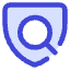 Shield Privacy Policy Check Icon from Core Duo Set