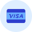 Visa Icon from Kameleon Duo Set